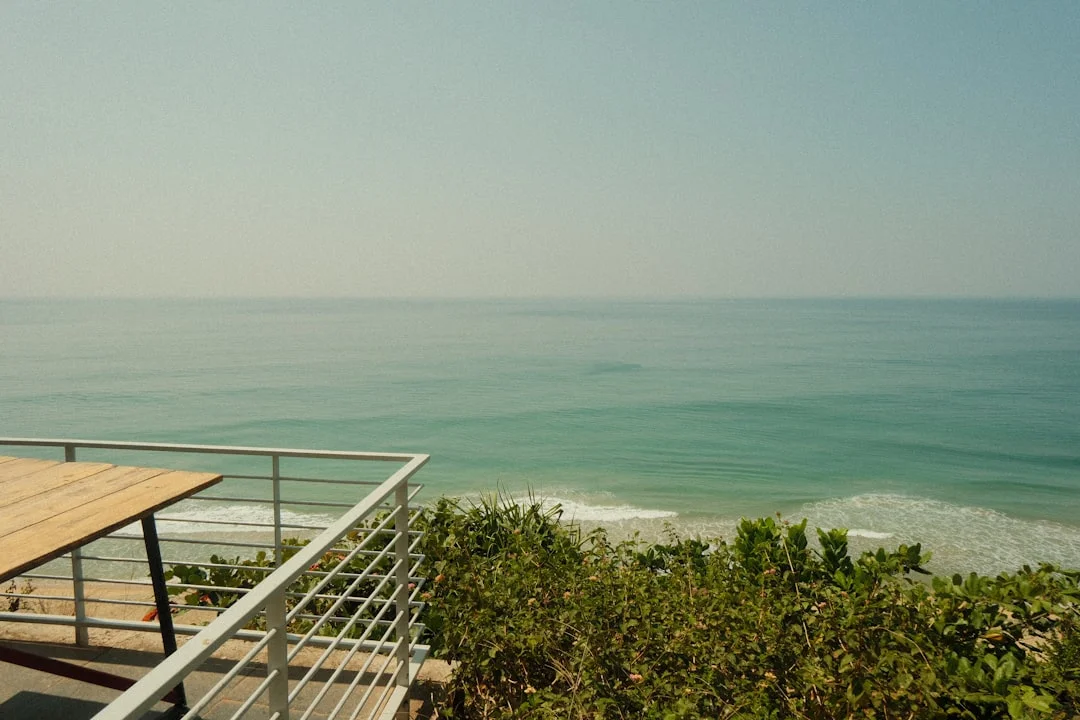 AfroChic Diani photo 3