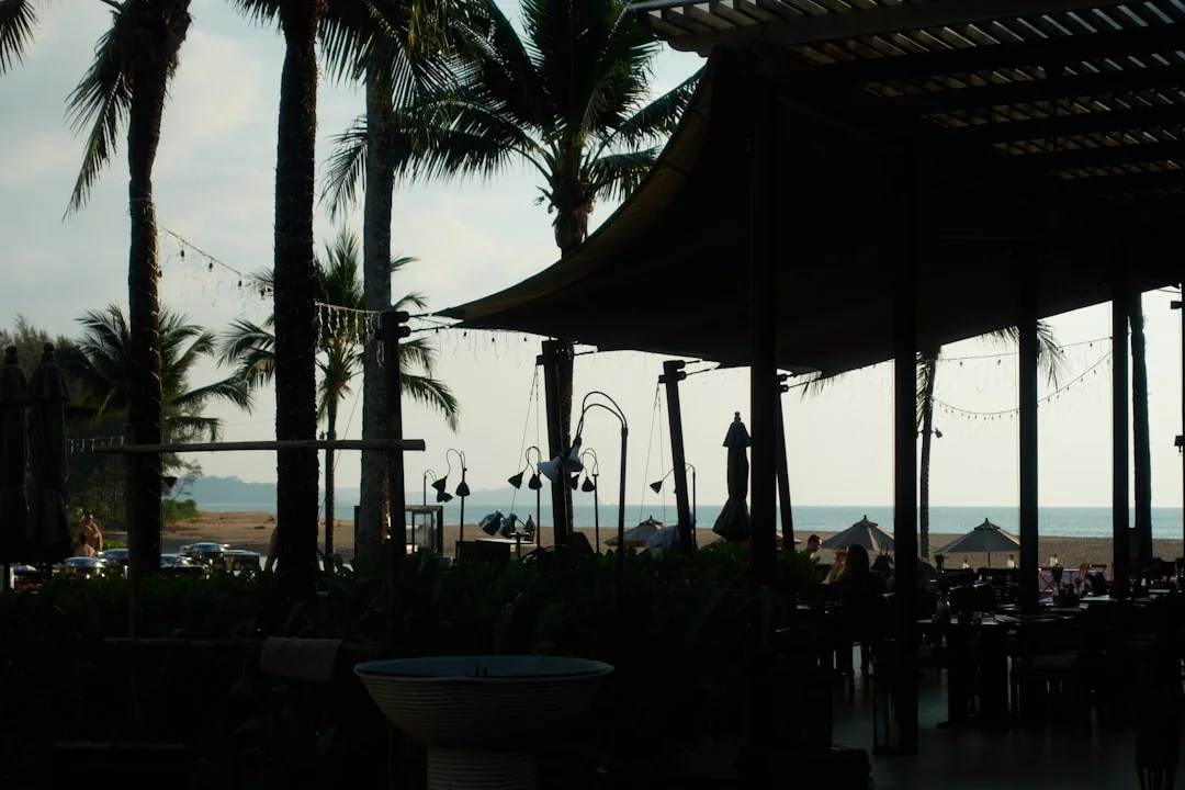 AfroChic Diani photo 4