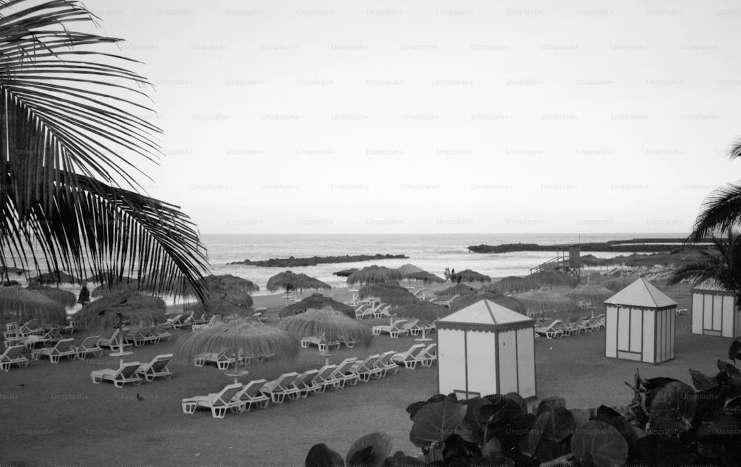 AfroChic Diani photo 5