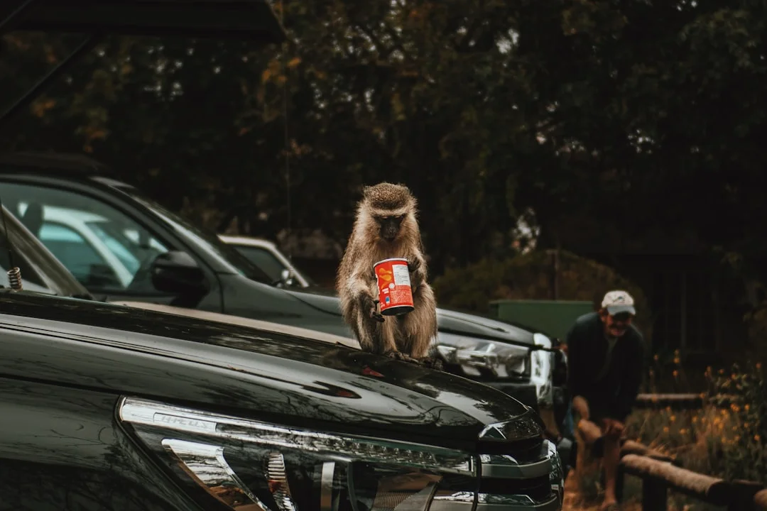 Arusha Coffee Lodge photo 3