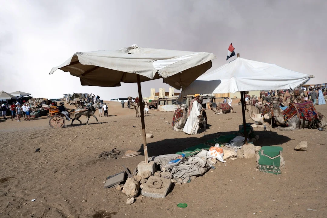 EWA Private Mobile Camp -  Ruaha