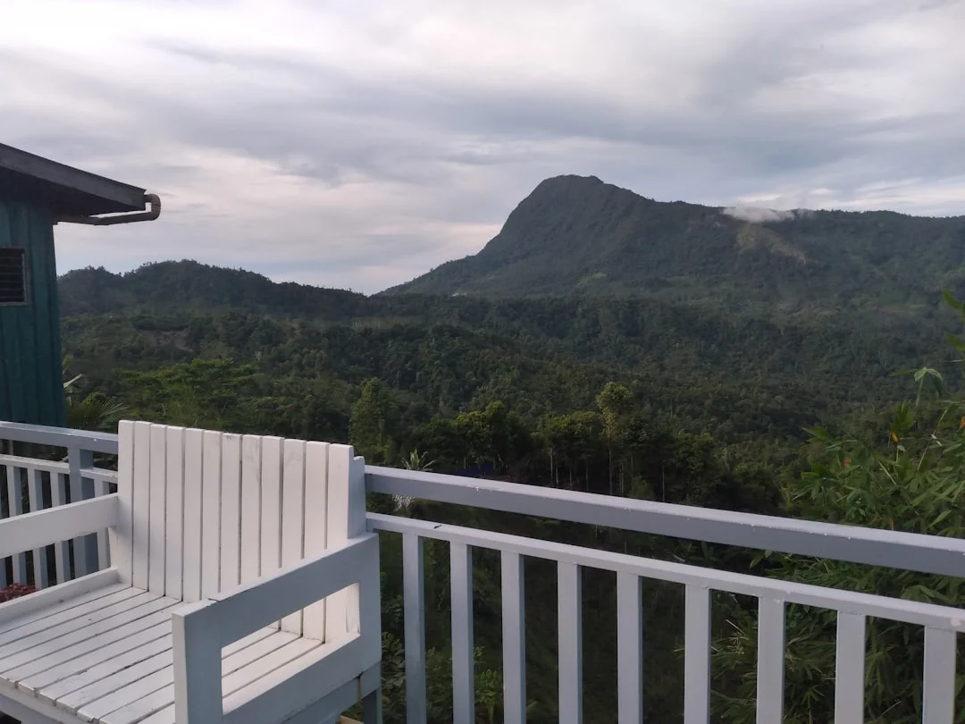 Ichumbi Gorilla Lodge