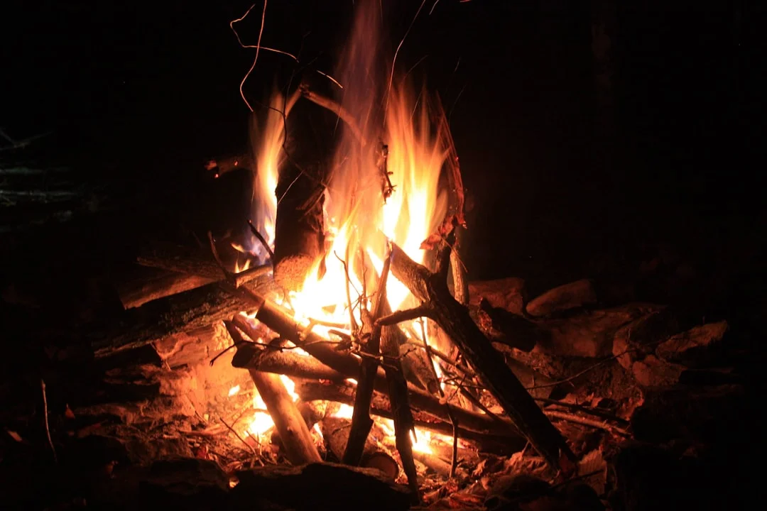 Kati Kati Tented Camp photo 5