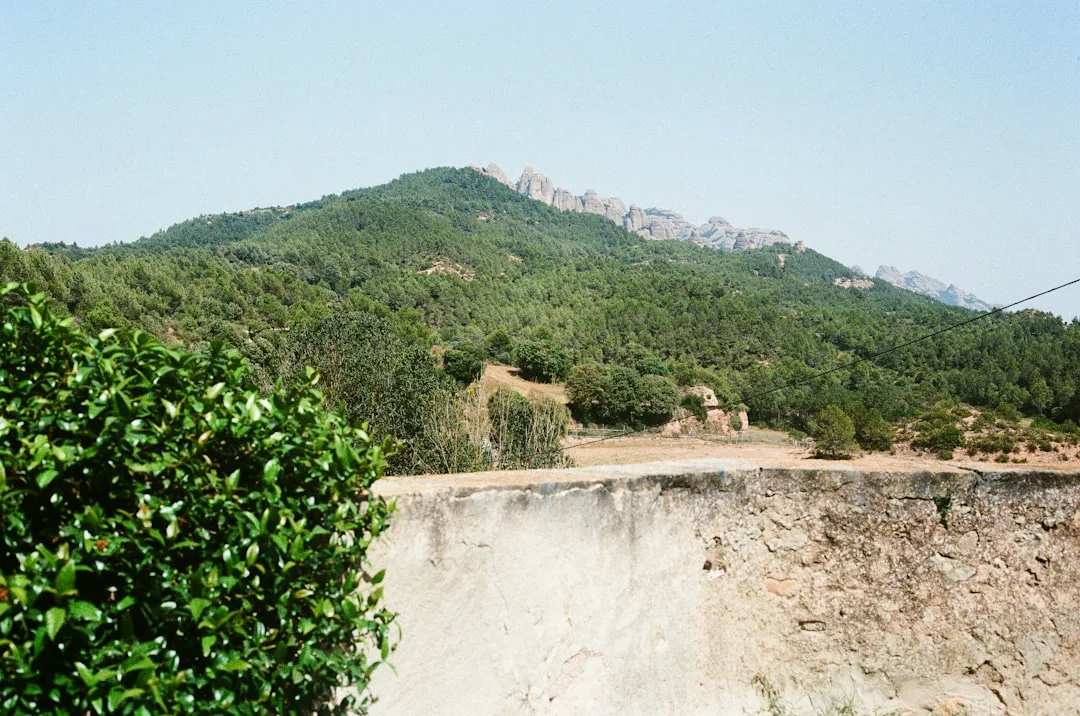 Ngare Sero Mountain Lodge photo 3