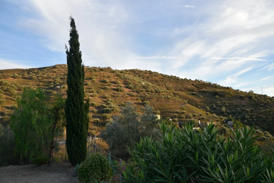 Ngare Sero Mountain Lodge photo 4