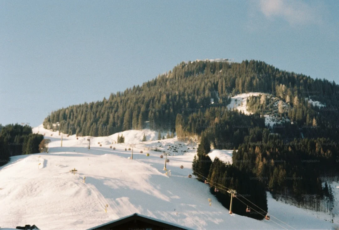 Ngare Sero Mountain Lodge photo 5