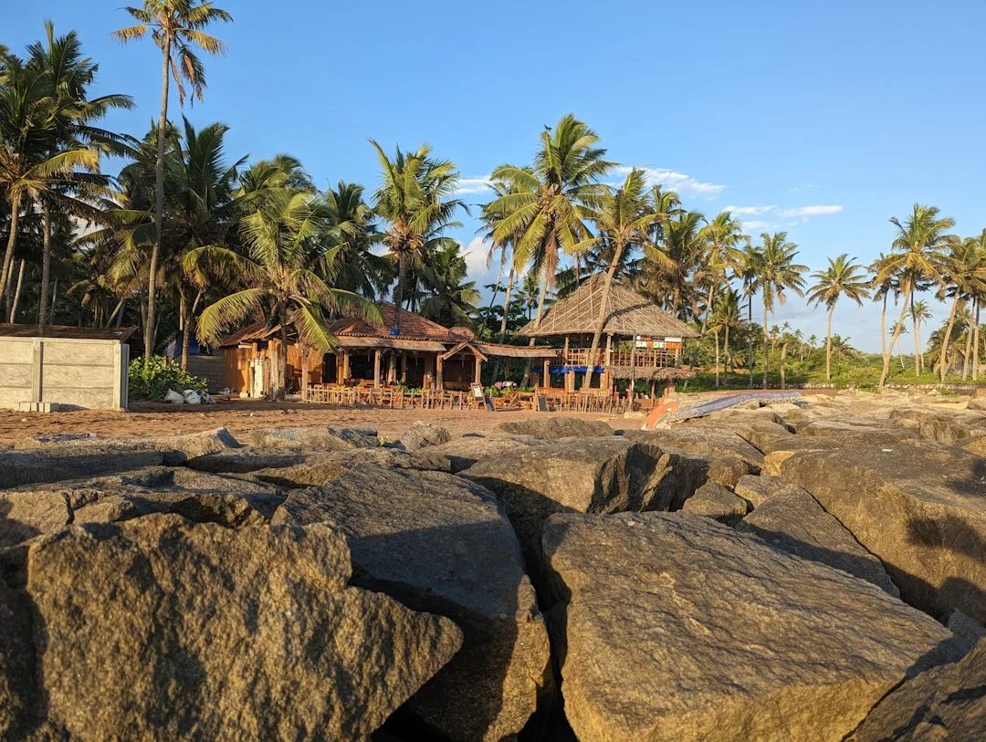 Serengeti Safari Lodge photo 5