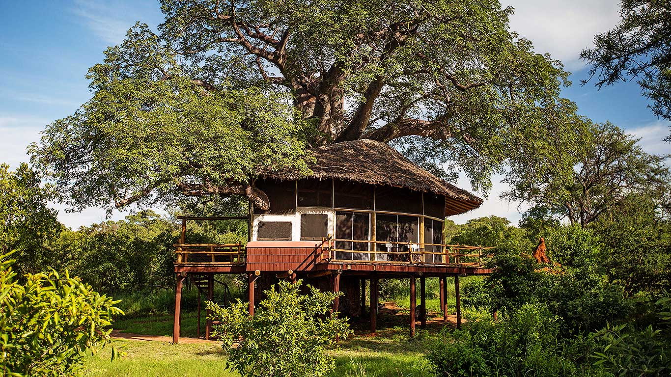 Tarangire Treetops Lodge photo 3