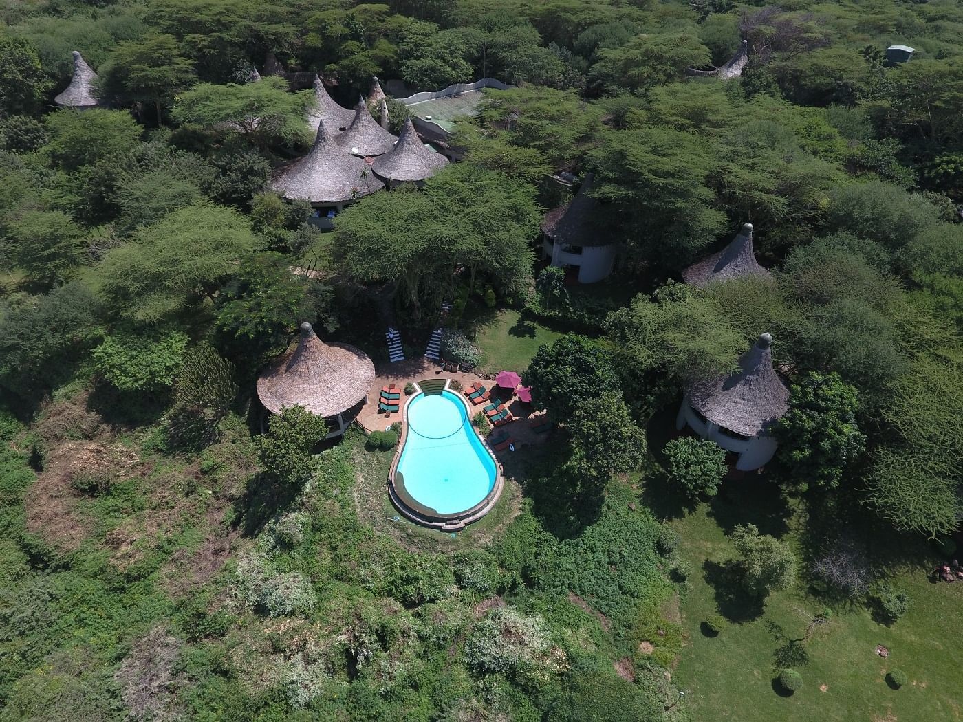 Manyara Serena Lodge photo 5