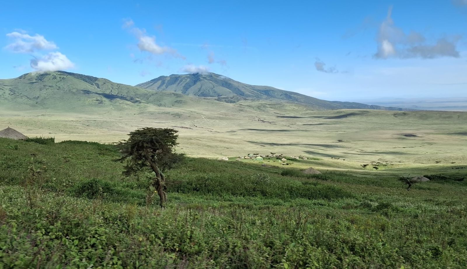 Serengeti Serena Lodge photo 8