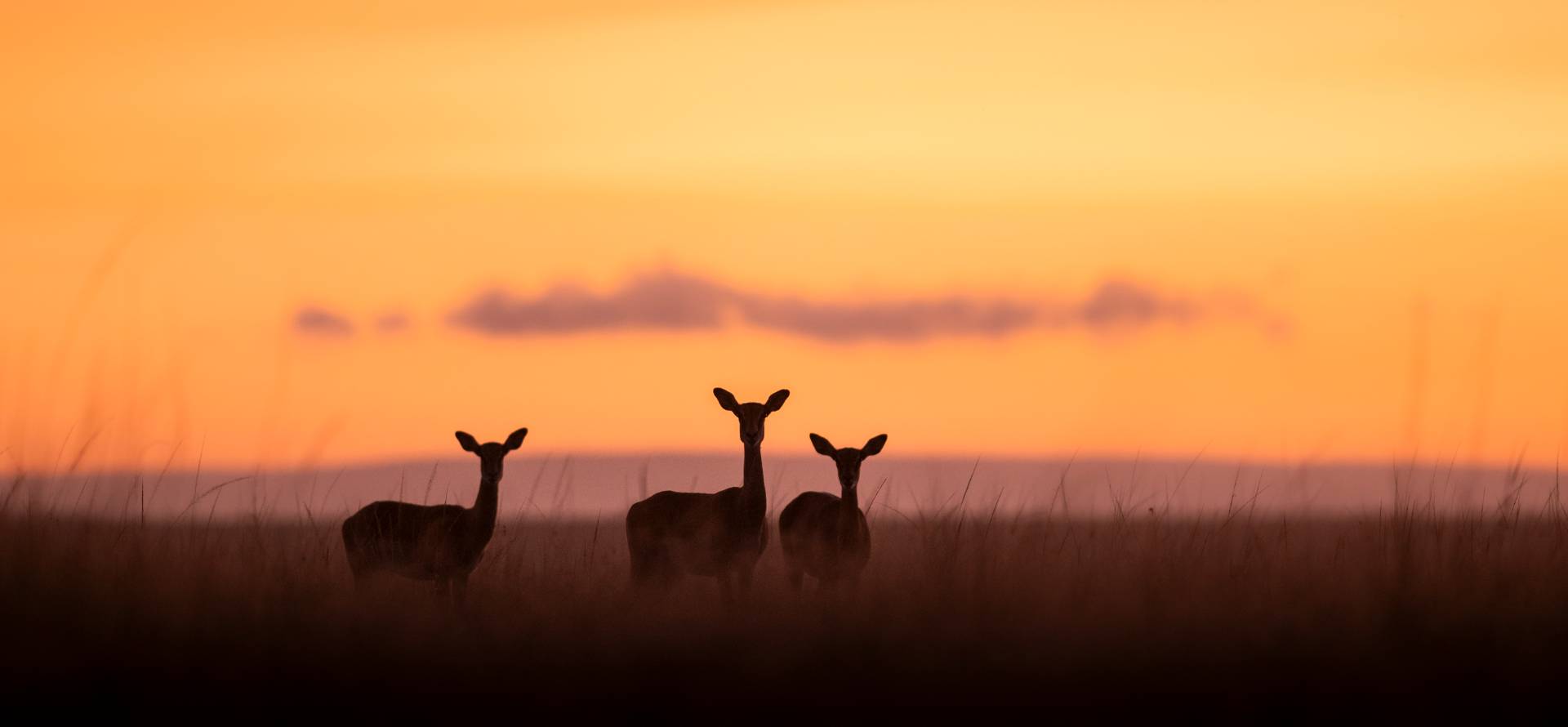 Governors' Camp photo 4