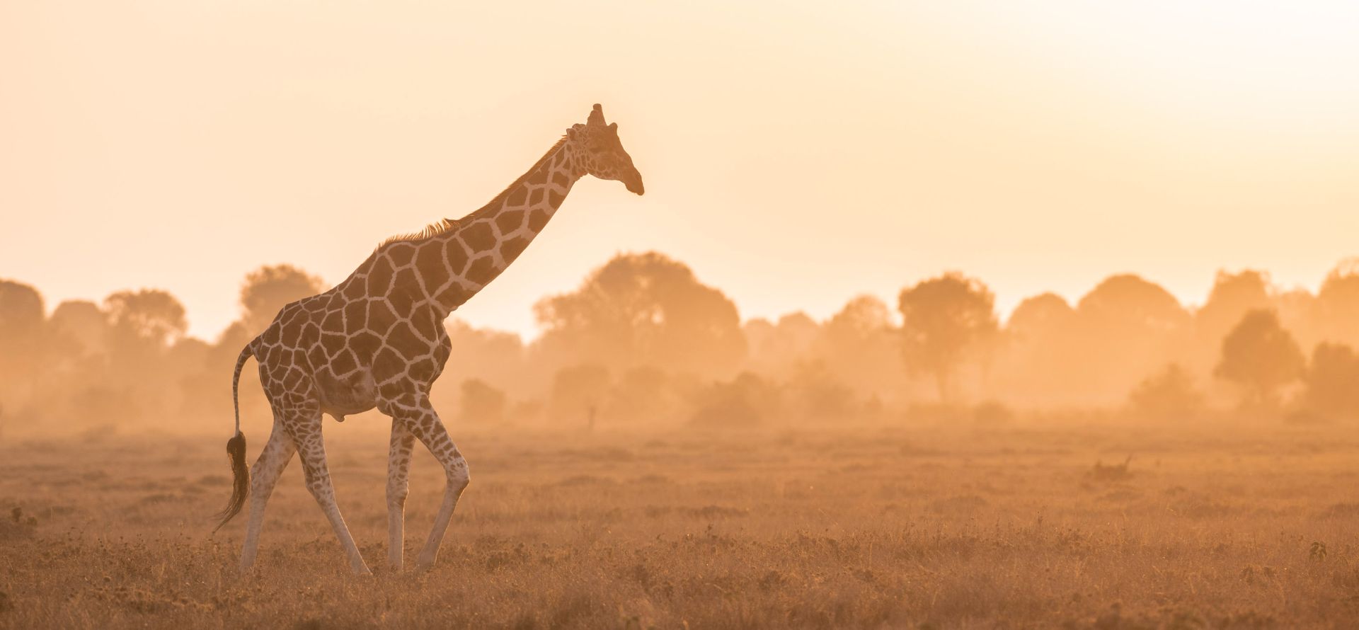 Governors' Camp photo 5