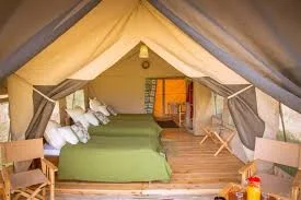 Ngorongoro Kuhama Camp photo 2