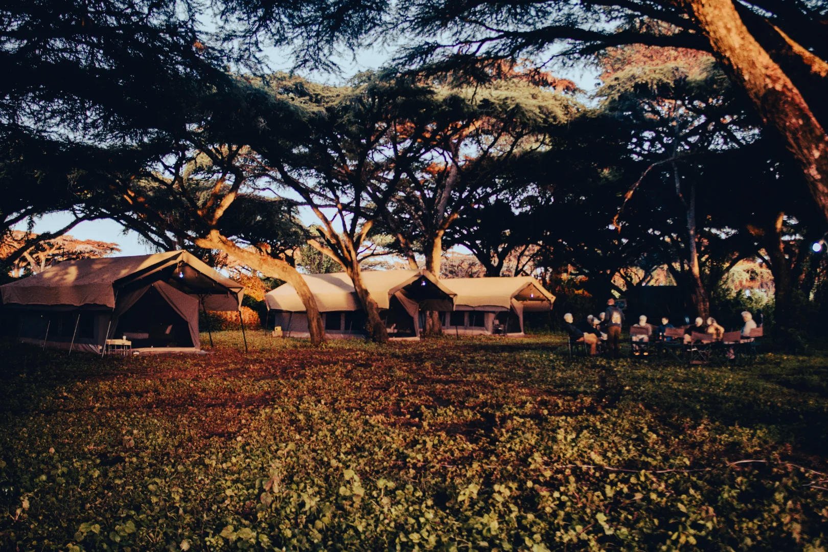 EWA Private mobile - Tarangire