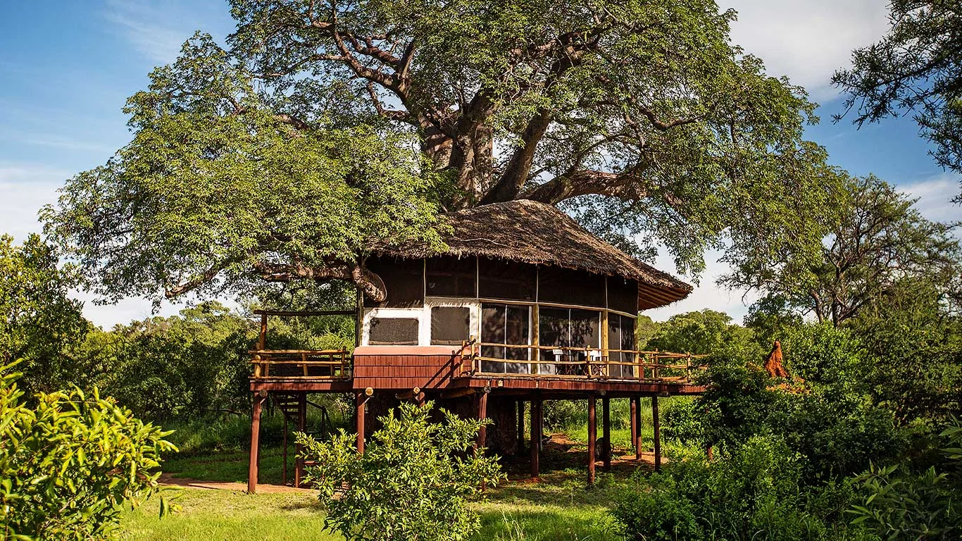 Tarangire Treetops Lodge photo 8