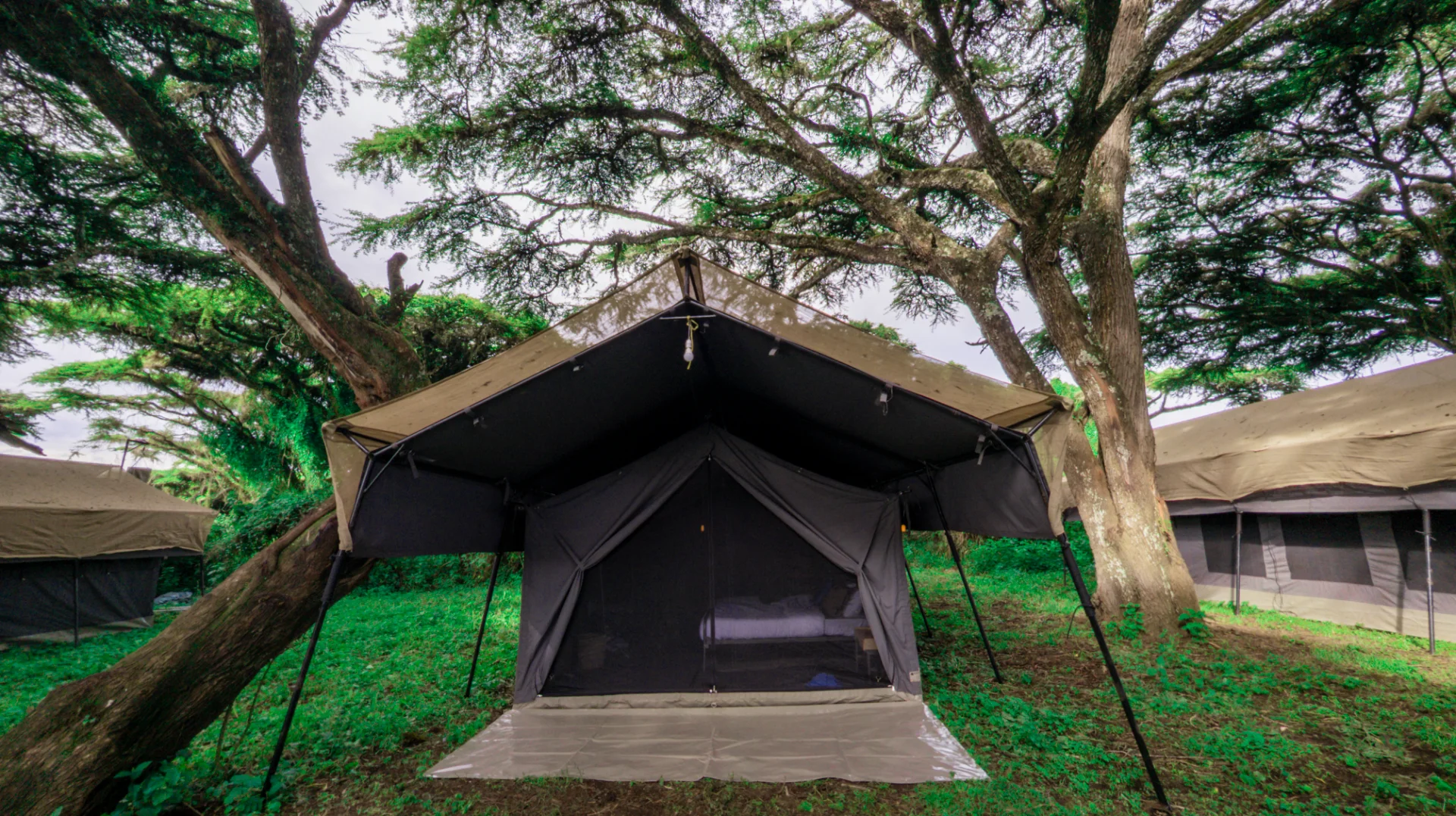 EWA Private Mobile Camp -  Ruaha