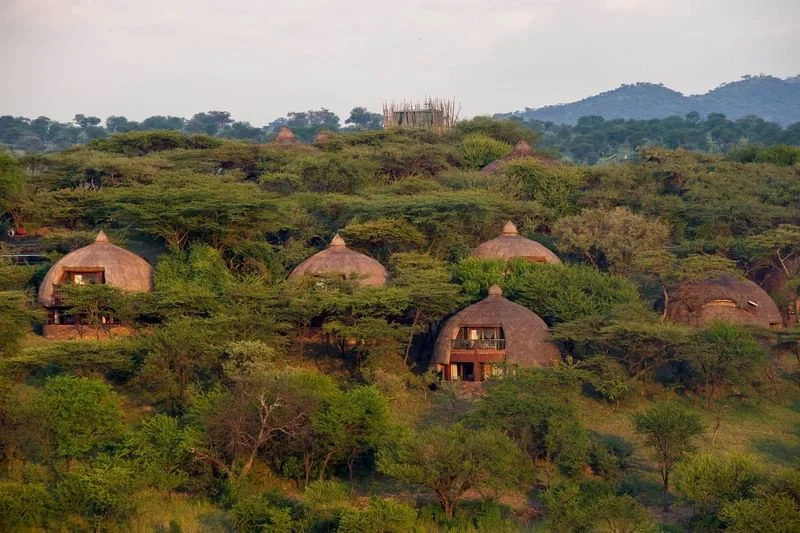Serengeti Serena Safari Lodge photo 2