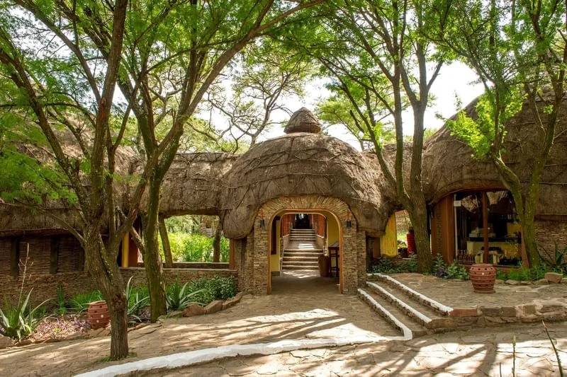 Serengeti Serena Safari Lodge photo 5