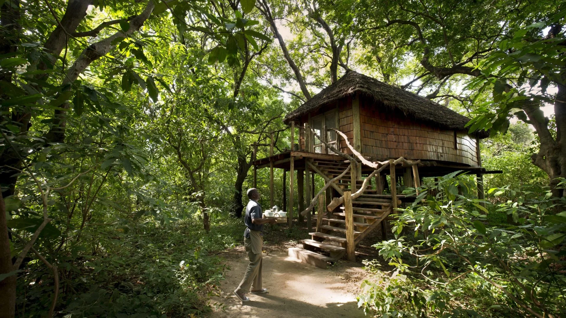 Lake Manyara Tree Lodge photo 6