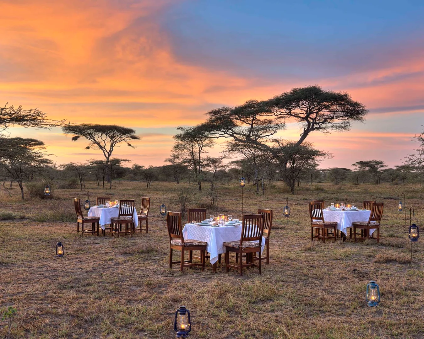 Ndutu Safari Lodge