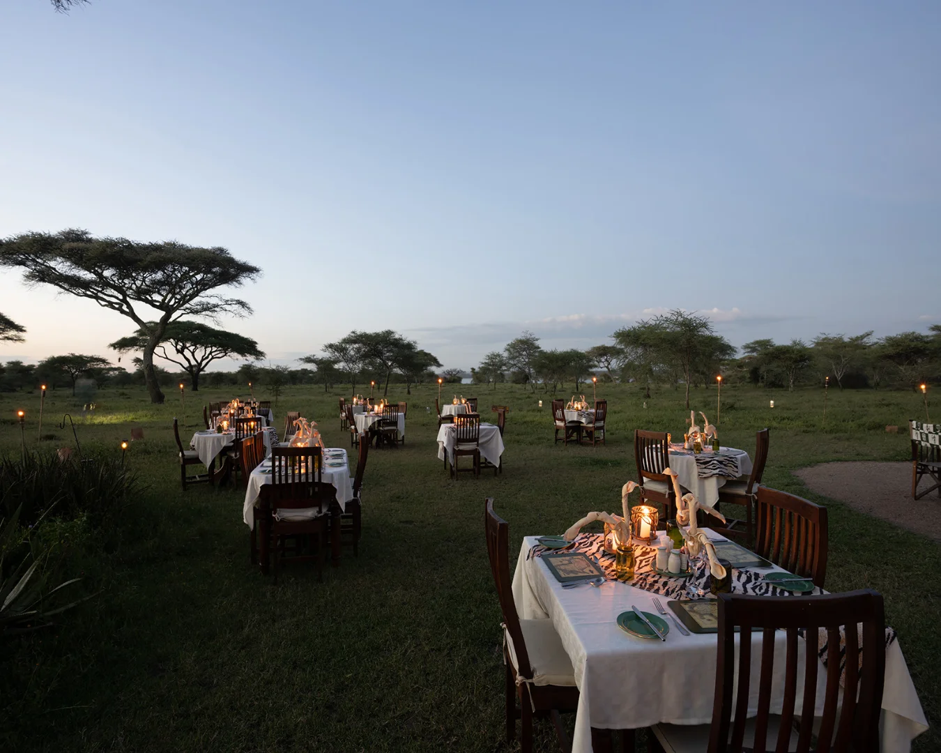 Ndutu Safari Lodge photo 5