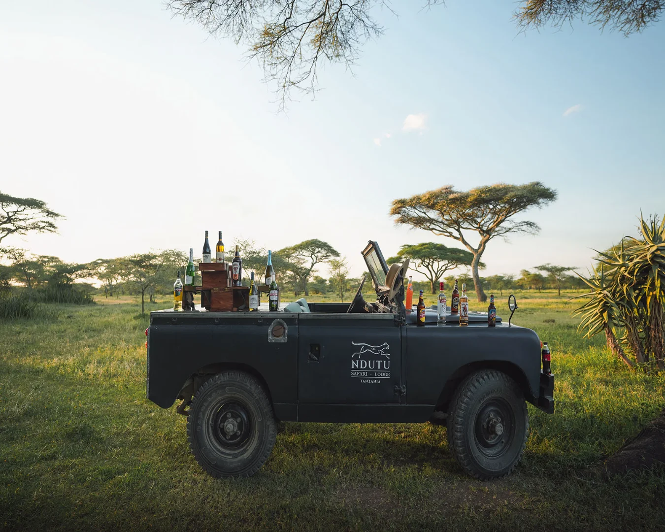 Ndutu Safari Lodge photo 7