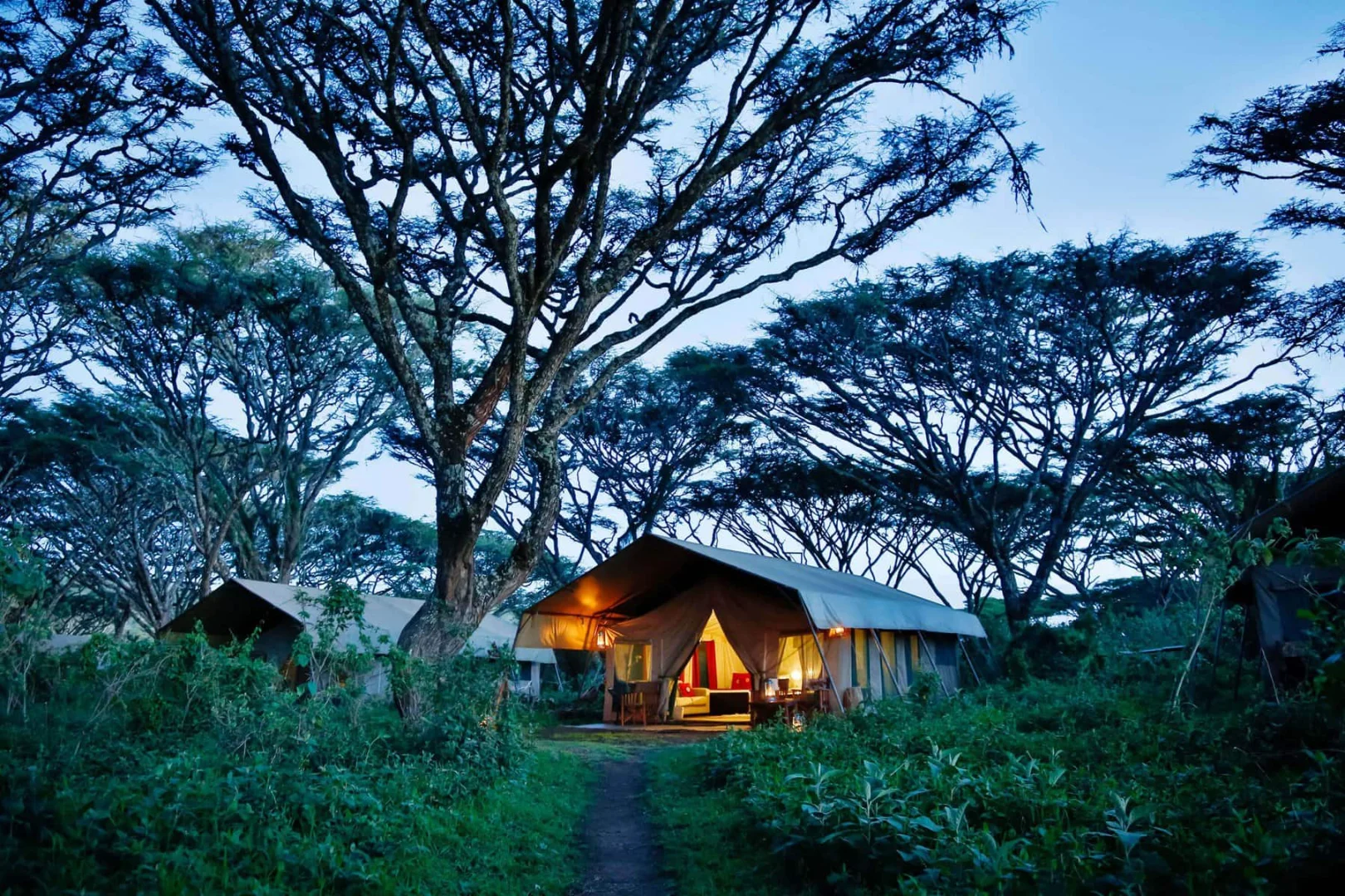 Lemala Ngorongoro Tented Camp photo 2