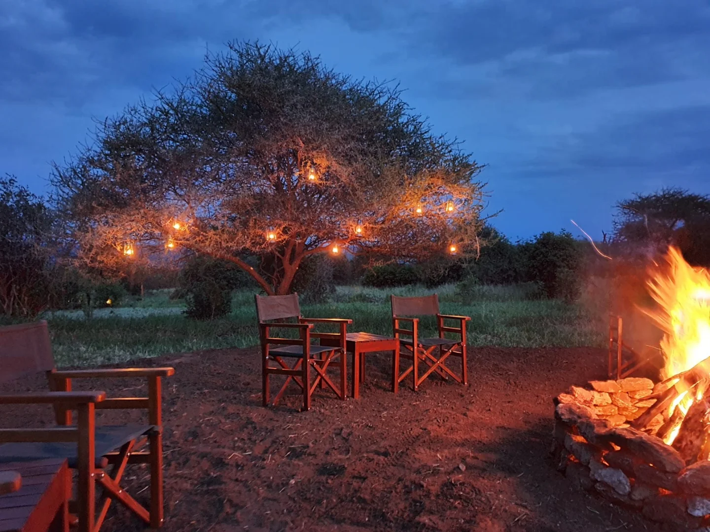 Tarangire Kuro Treetops Lodge