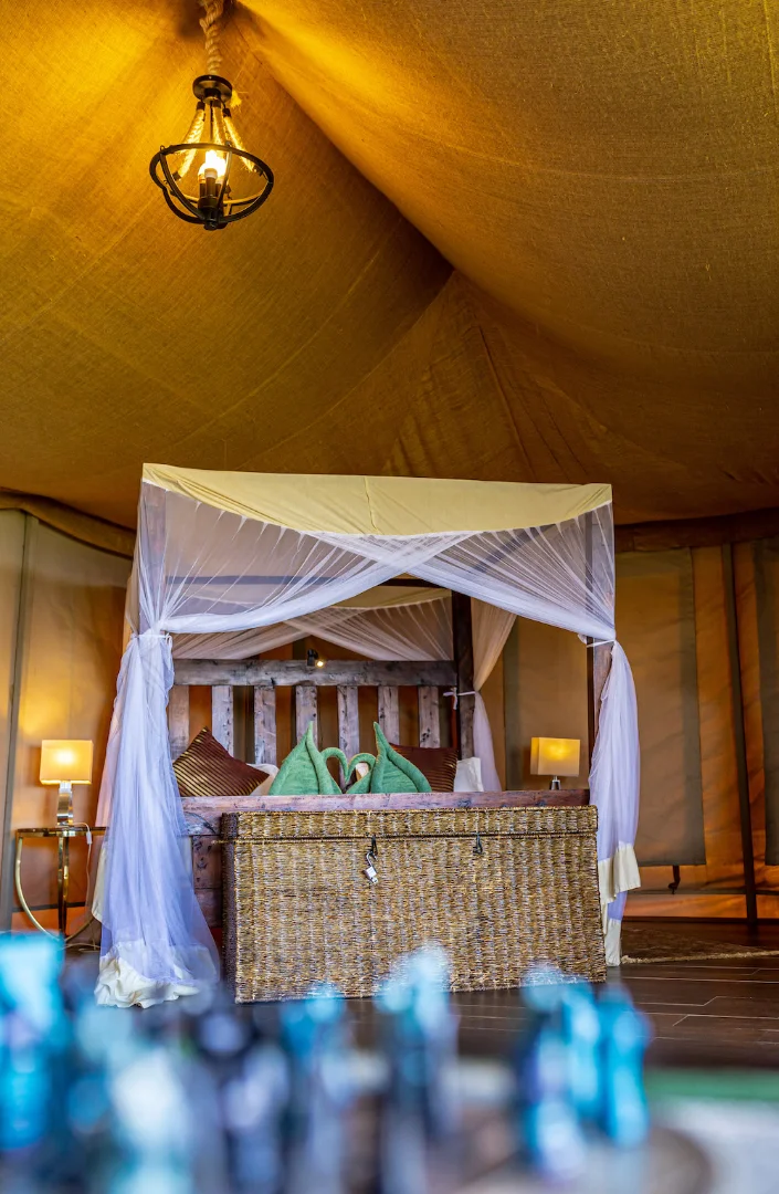 Serengeti Safari Lodge photo 6