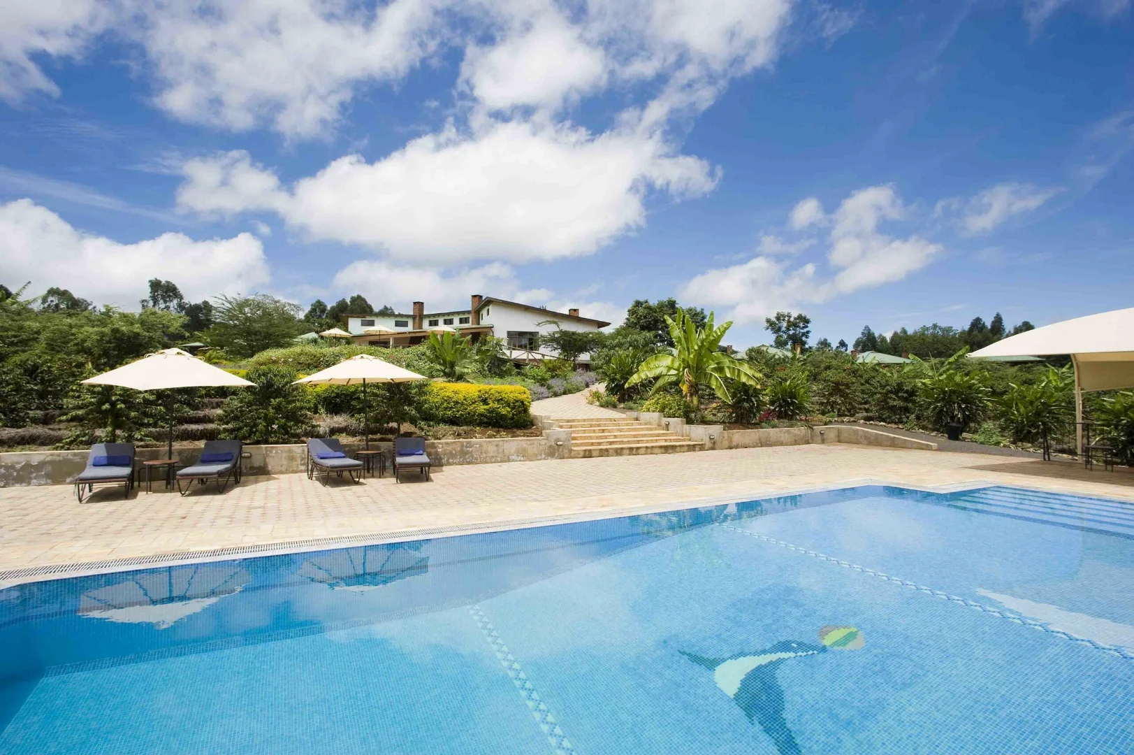 Tloma Mountain Lodge photo 4