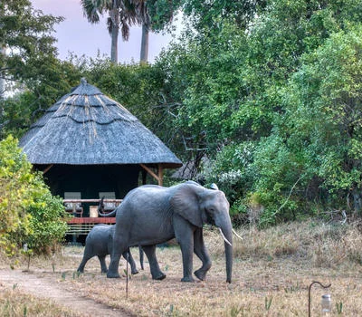 Mbalimbali Katavi  Lodge photo 3
