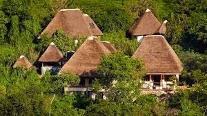Bwindi Lodge photo 2