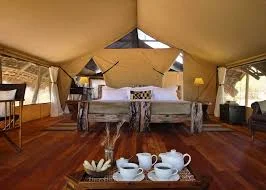 Jongomero Camp photo 5