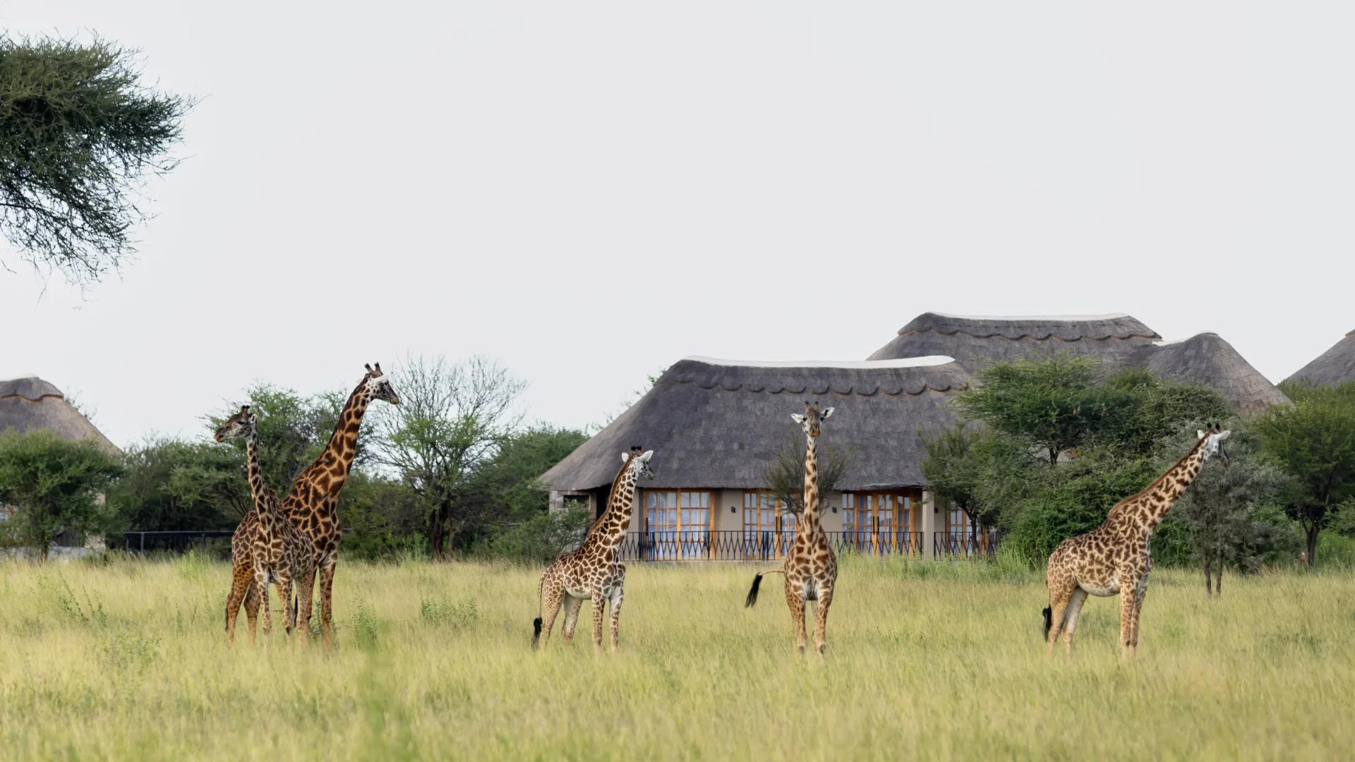 Olkarien Eco Safari Camp photo 2