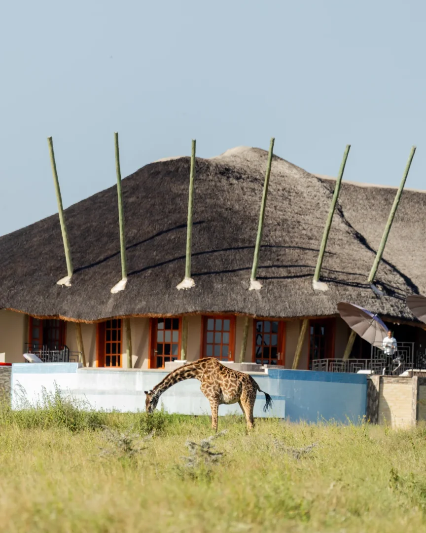 Olkarien Eco Safari Camp photo 7