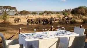 Sanctuary Swala Camp photo 2