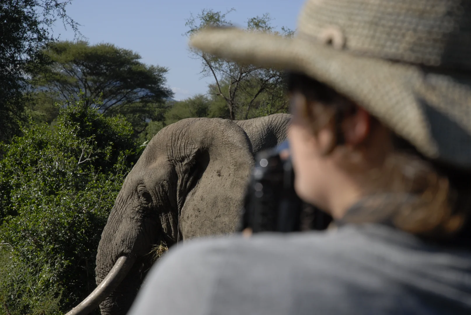 Serengeti Safari Package Prices 2026: Complete Cost Breakdown & Budget Guide