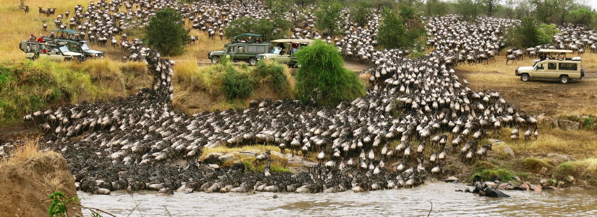 The Great Wildebeest Migration 2026: Complete Month-by-Month Guide