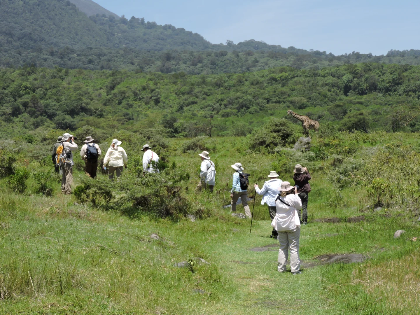 Tanzania Safari Itinerary: How to Plan Your Perfect 3-14 Day Adventure