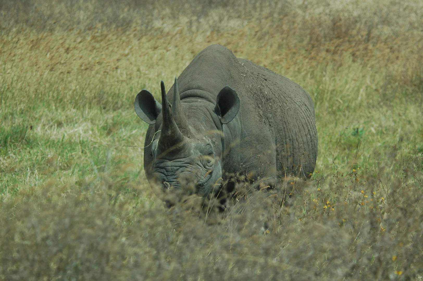 Solo Safari Tanzania 2026: Safe Travel Guide for Independent Travelers