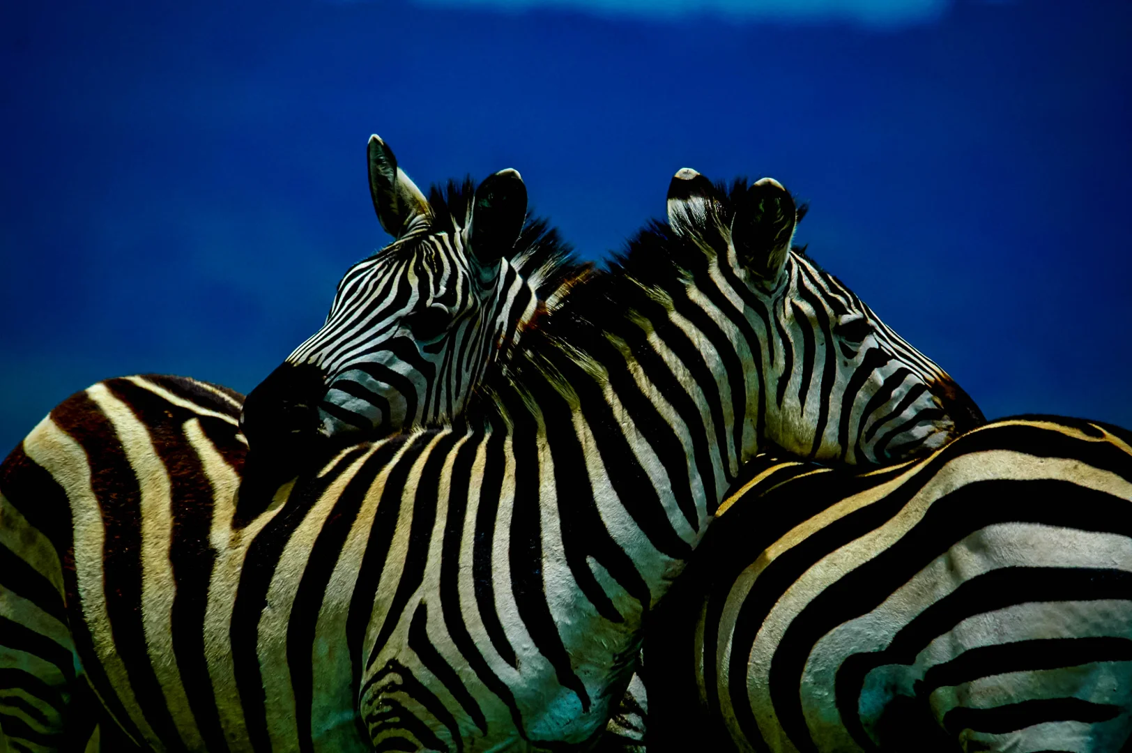 Best Time to Visit Tanzania 2026-2027: Season by Season Guide