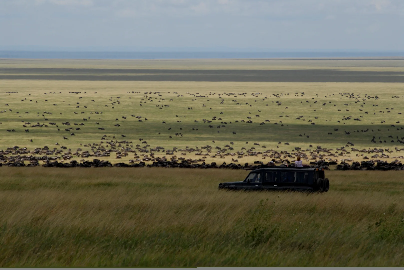 Big Five Safari Tanzania: Where to See All Five Animals