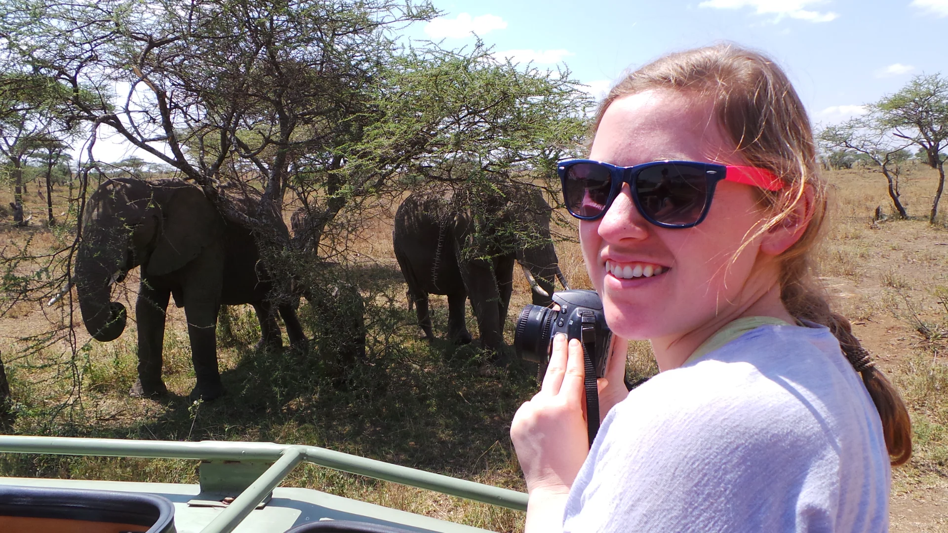 First-Time Tanzania Safari: The Complete Beginner's Guide