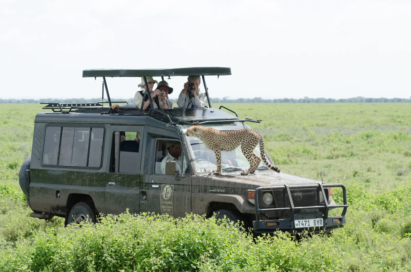 Tanzania Safari Packing List: What to Pack (And Skip)