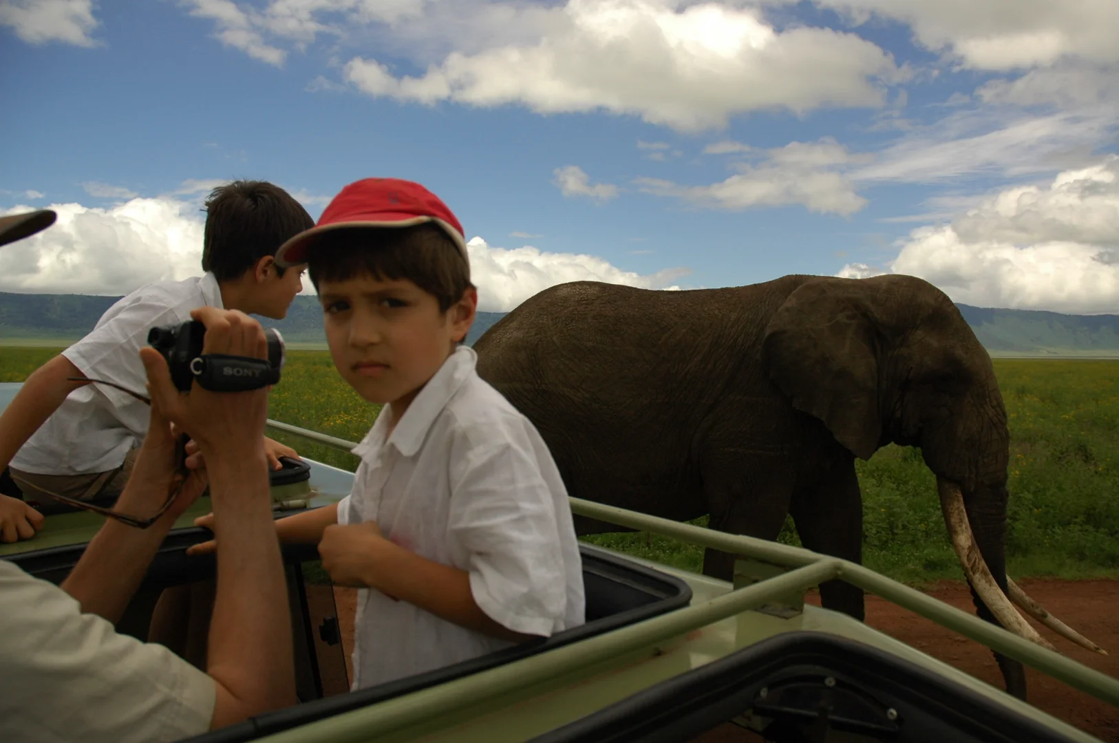 Family Safari Tanzania: Complete Guide for Traveling with Kids