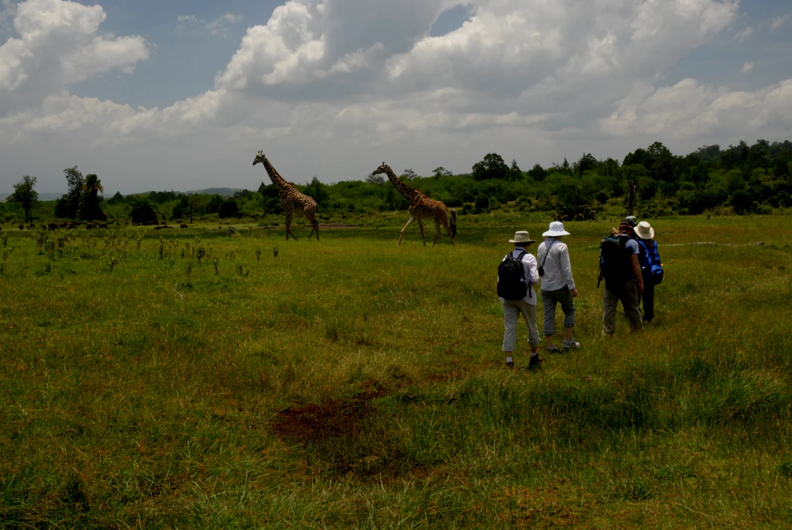 How Many Days for Tanzania Safari? Find Your Perfect Length