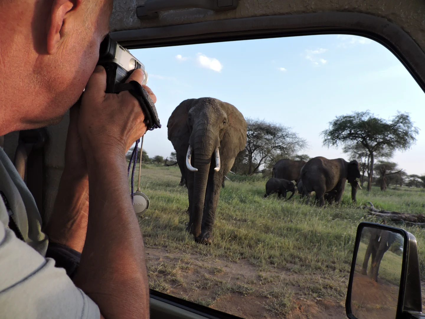Is a Tanzania Safari Worth It? An Honest Analysis