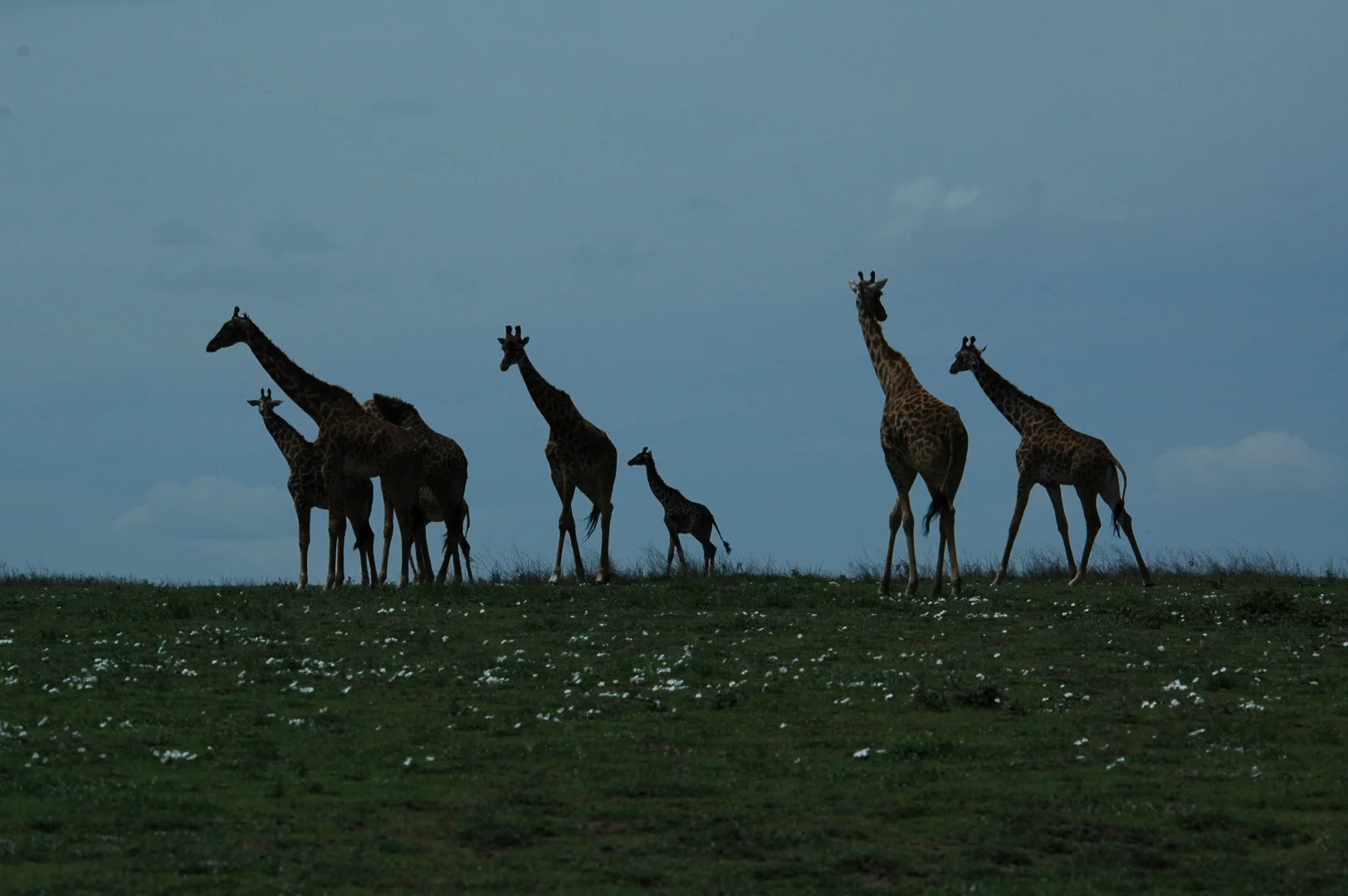 When NOT to Visit Tanzania: Months to Approach with Caution