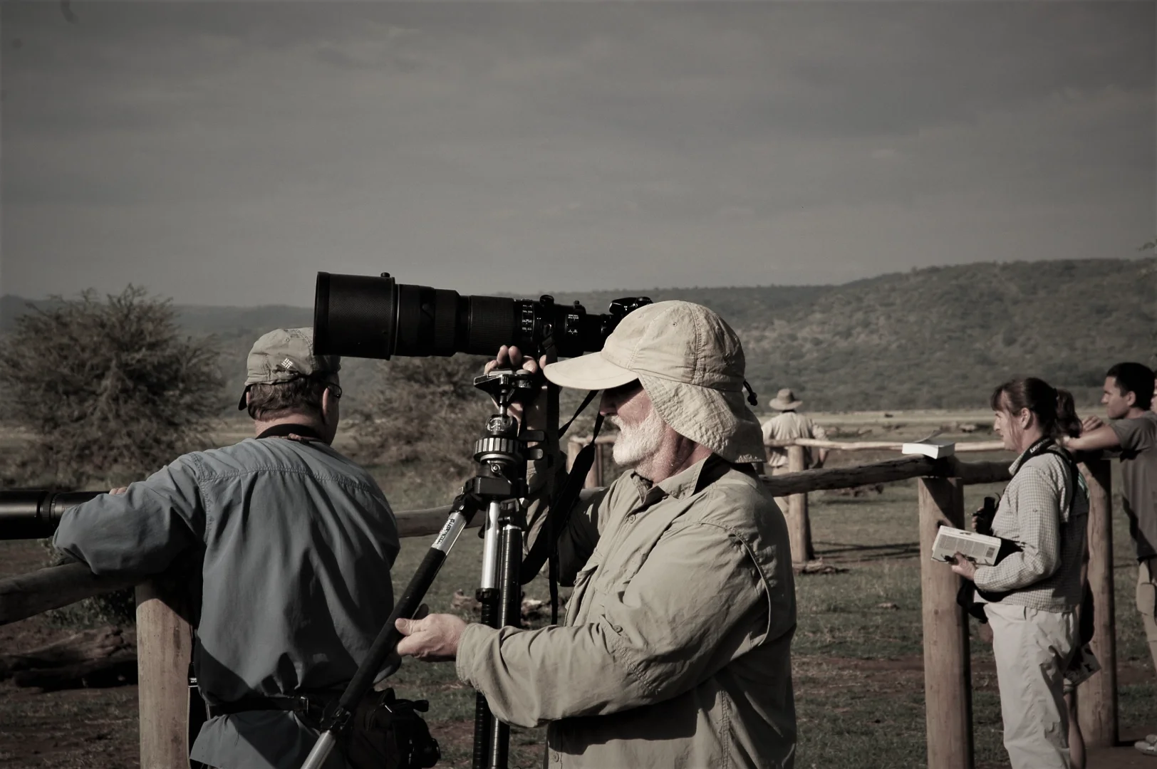 Tanzania Safari Destinations Compared: Complete Guide 2026