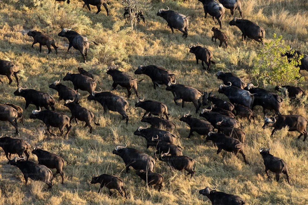 Arusha National Park gallery 3